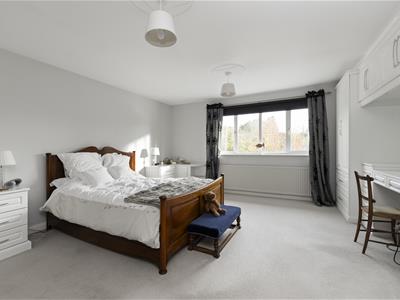 Picture 19